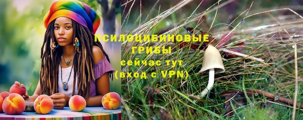 каннабис Верея