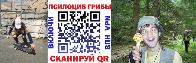 Купить закладки  Каневская  Псилоцибиновые грибы мицелий 